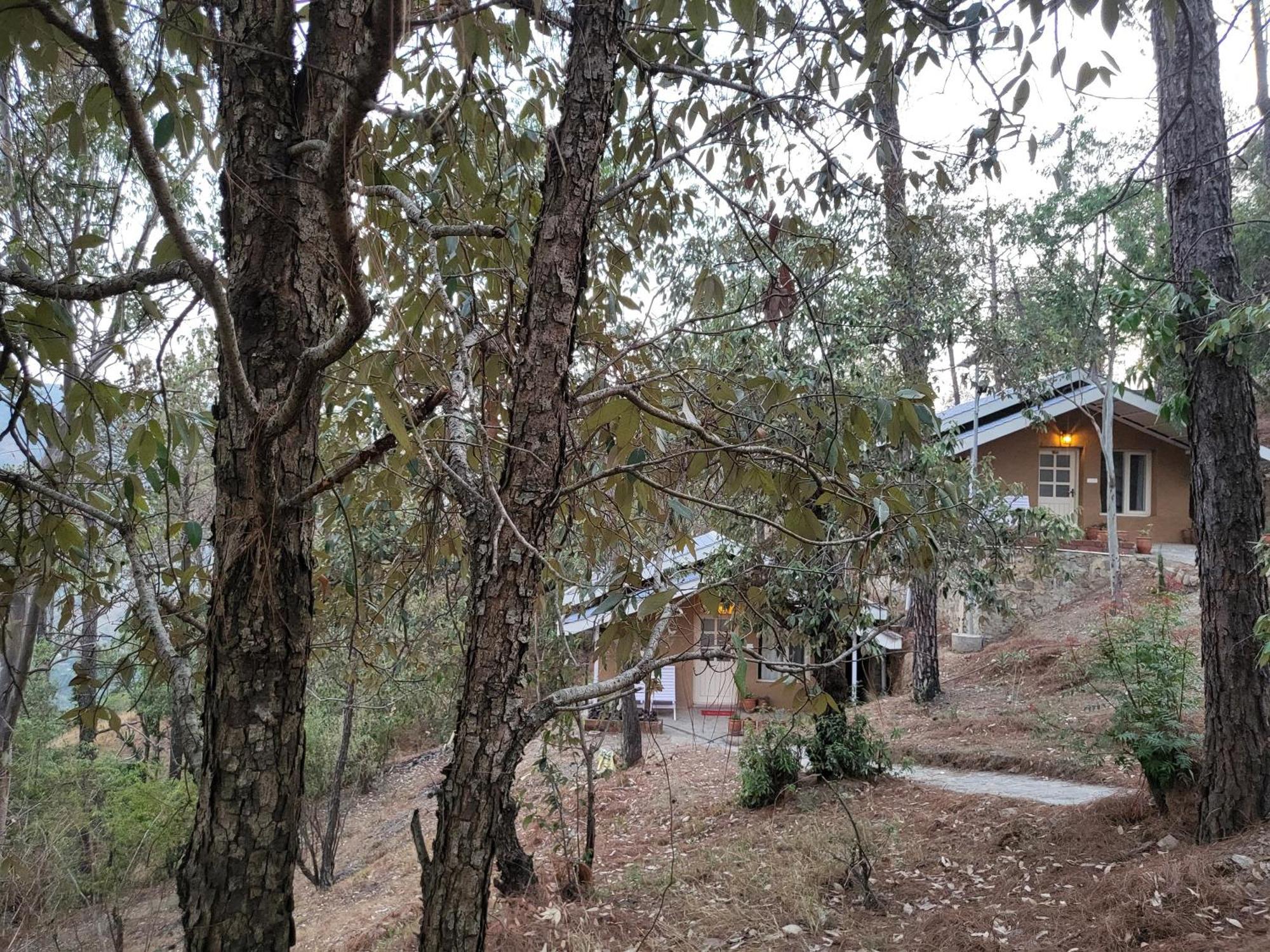 Rainbow Resorts Solan Chambre photo